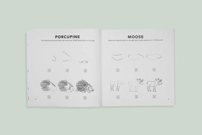 MUSHROOMS & WOODLAND CREATURES: A KIDS DRAWING BOOK (FALL)