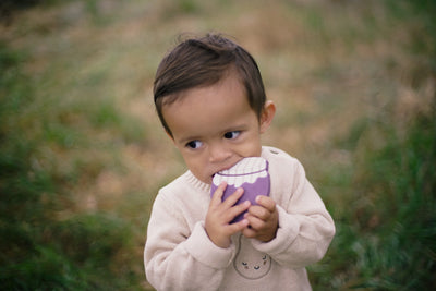 HUCKLEBERRY JAM TEETHER