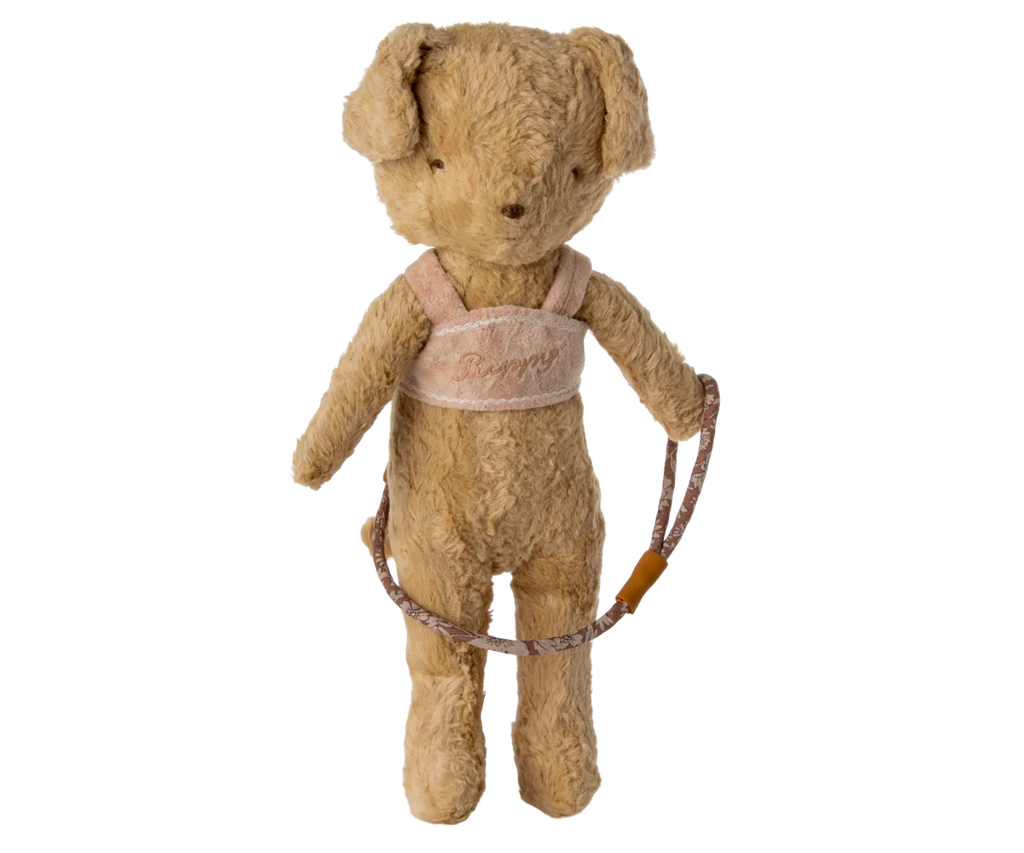 Harness, Puppy Supply