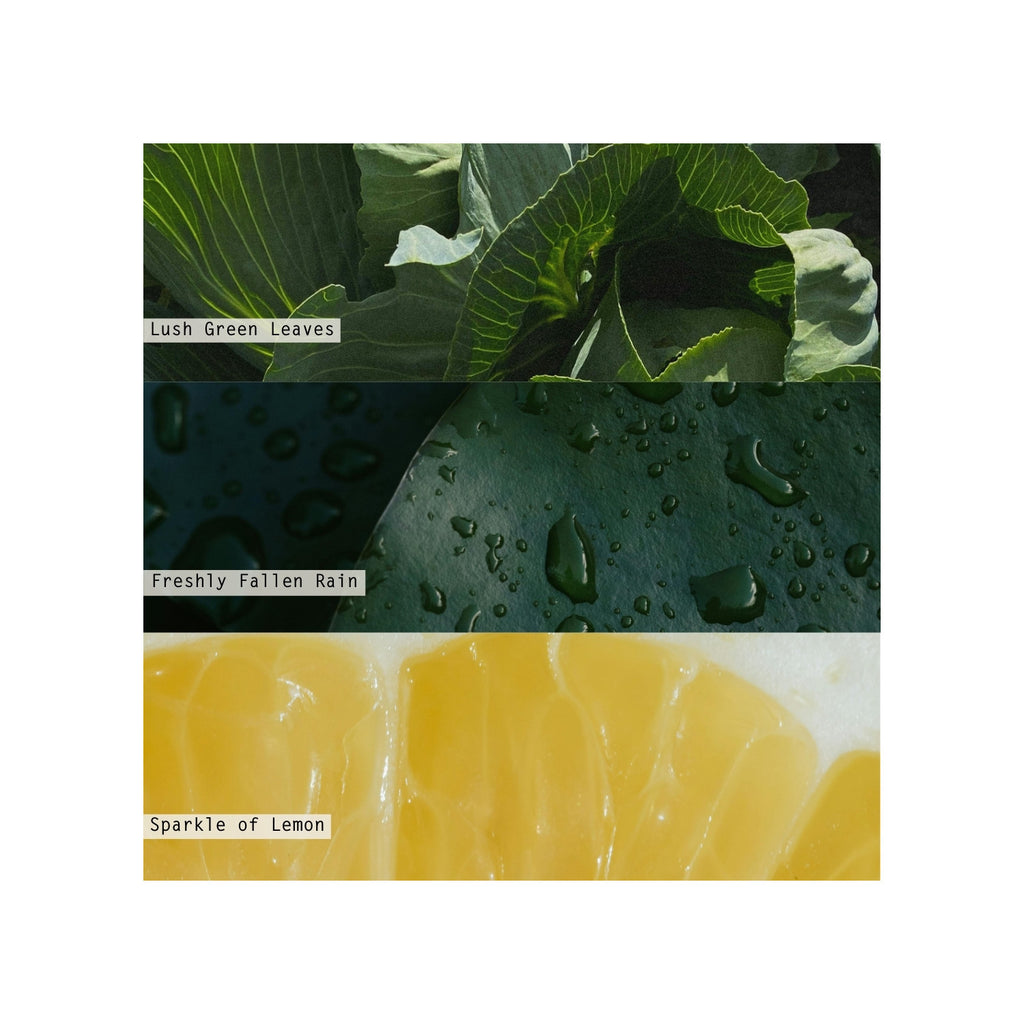 Hidden Lake Aromatic Diffuser