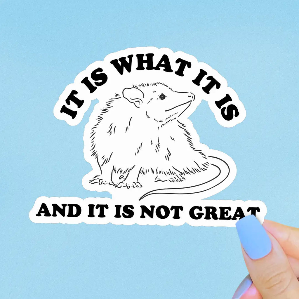 It Is What It Is & It Is Not Great Sticker, Opossum Memes