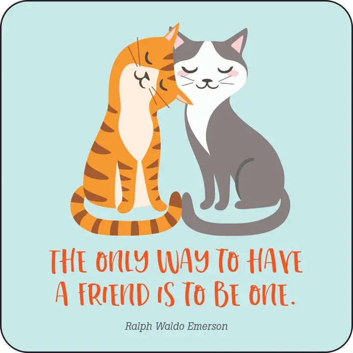 Kindness Lunch Box Notes For Kids! (Set of 60 Cards)