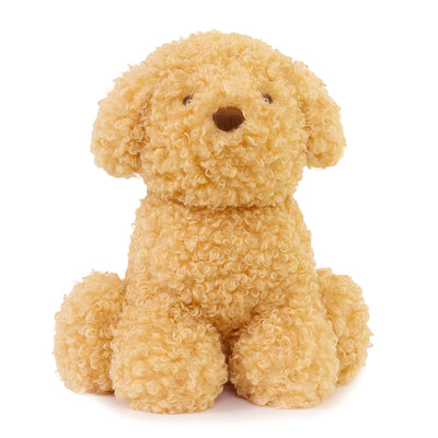 Luca Labradoodle 11