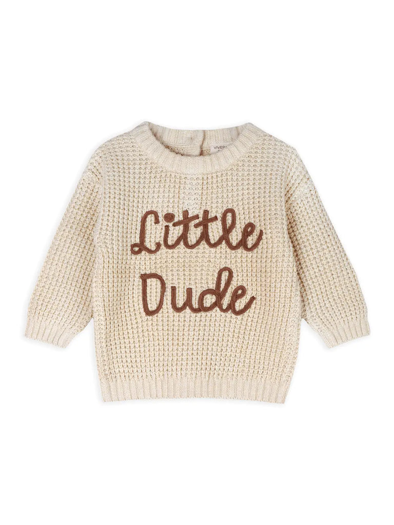 Little Dude Embroidered Sweater Knit Baby Pullover