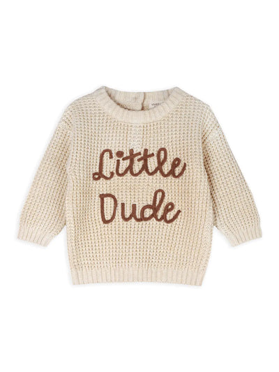 Little Dude Embroidered Sweater Knit Baby Pullover