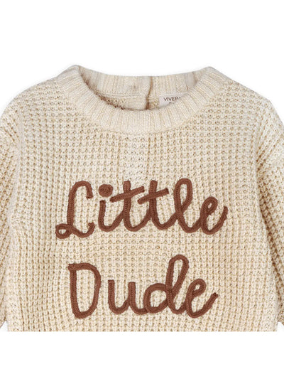 Little Dude Embroidered Sweater Knit Baby Pullover