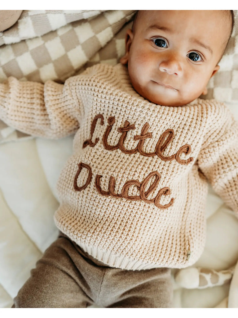 Little Dude Embroidered Sweater Knit Baby Pullover