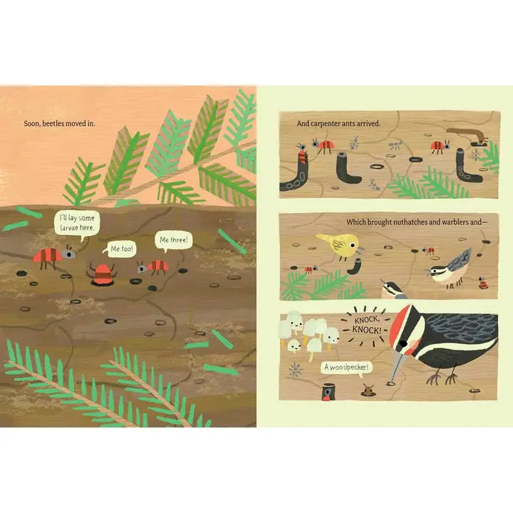 Log Life By Amy Hevron