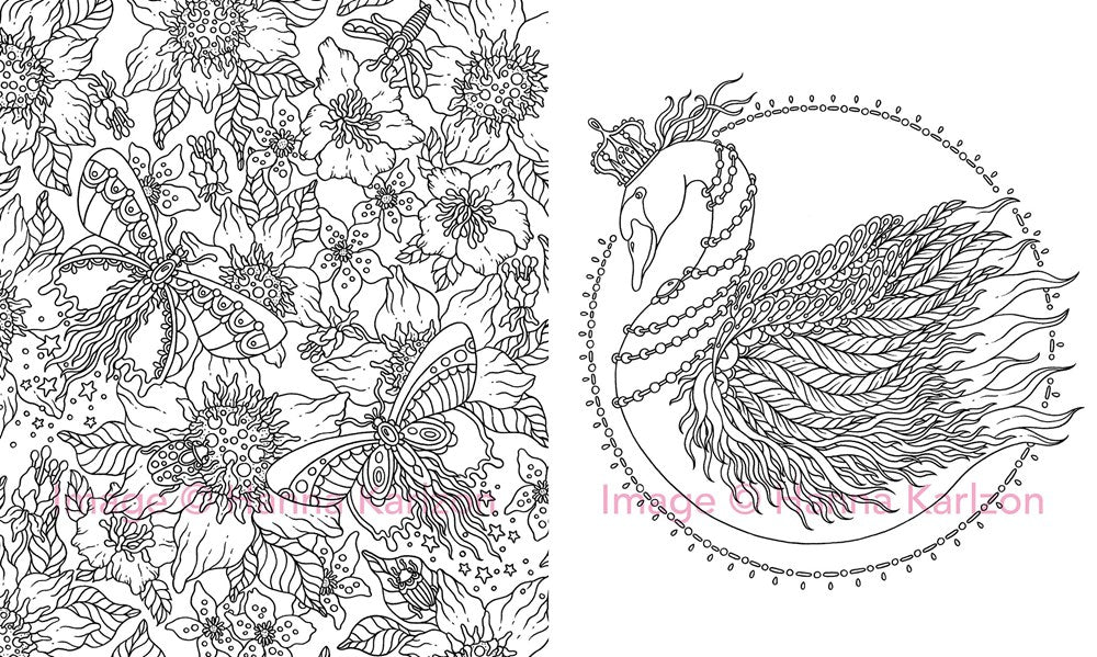 MAGICAL DAWN COLORING BOOK