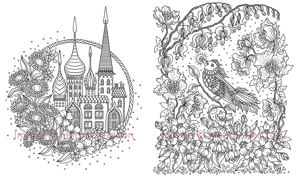 MAGICAL DAWN COLORING BOOK