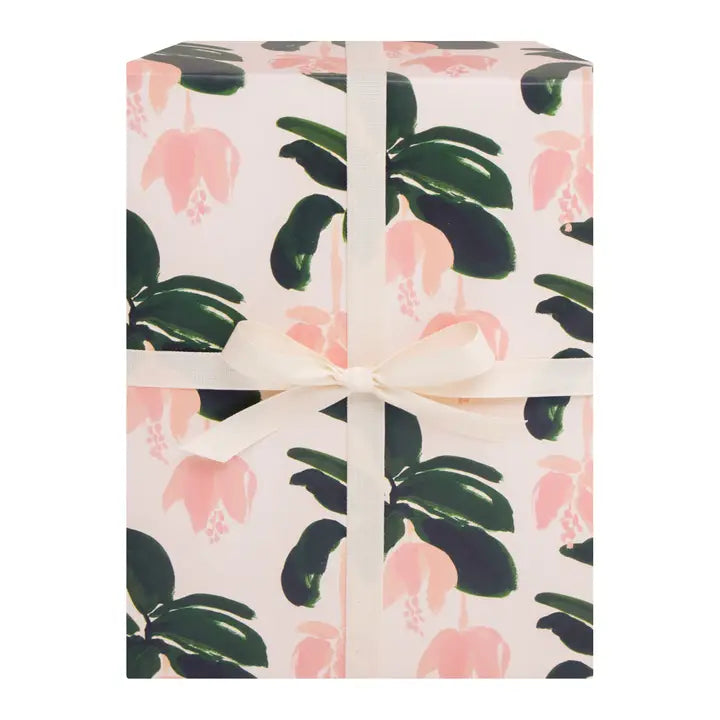 MEDINILLA GIFT WRAP