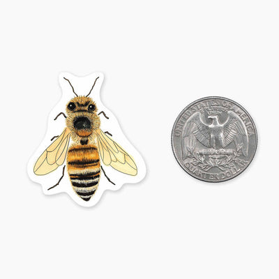 Bee - 1.5