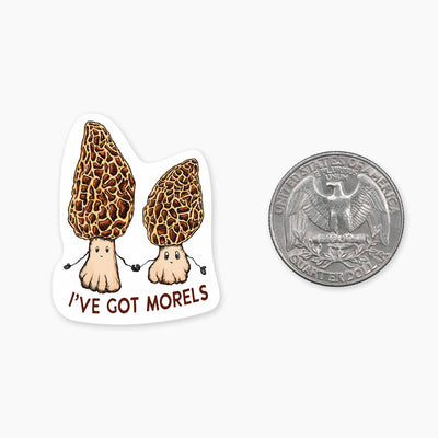 Morels - 1.5