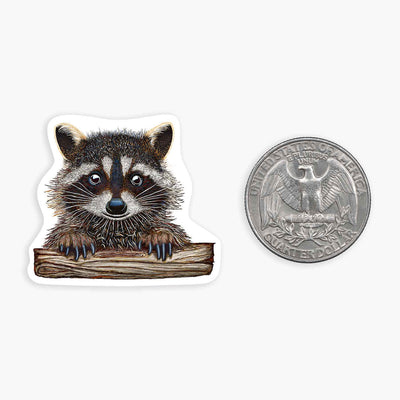 Rocky Raccoon - 1.5