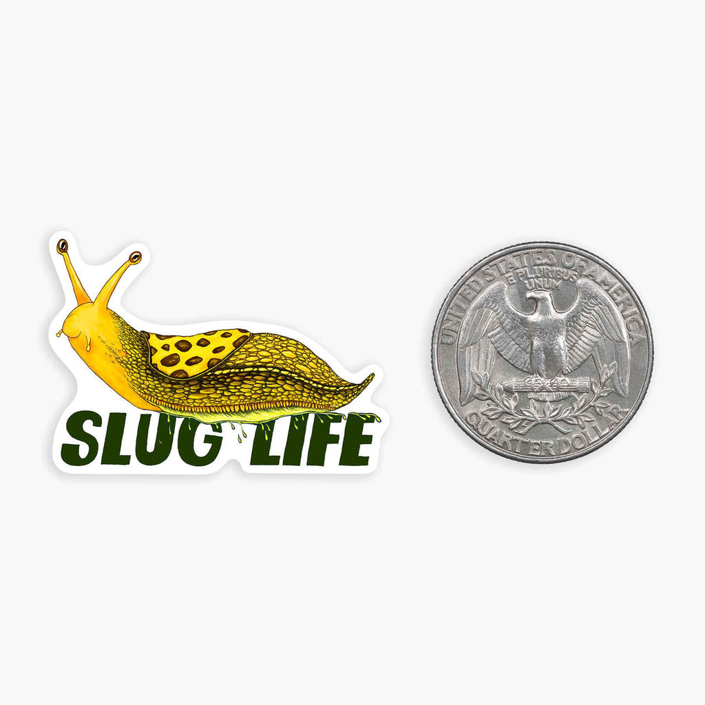 Banana Slug - 1.5" Vinyl Sticker