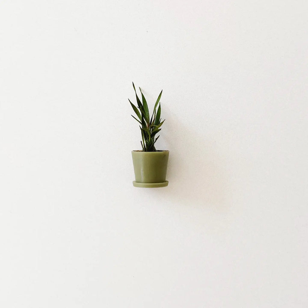 Small Potted Dollhouse Plant