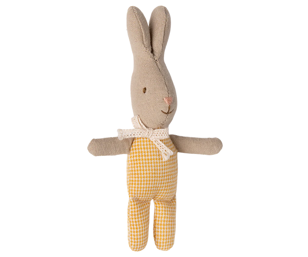 Rabbit, My 2024