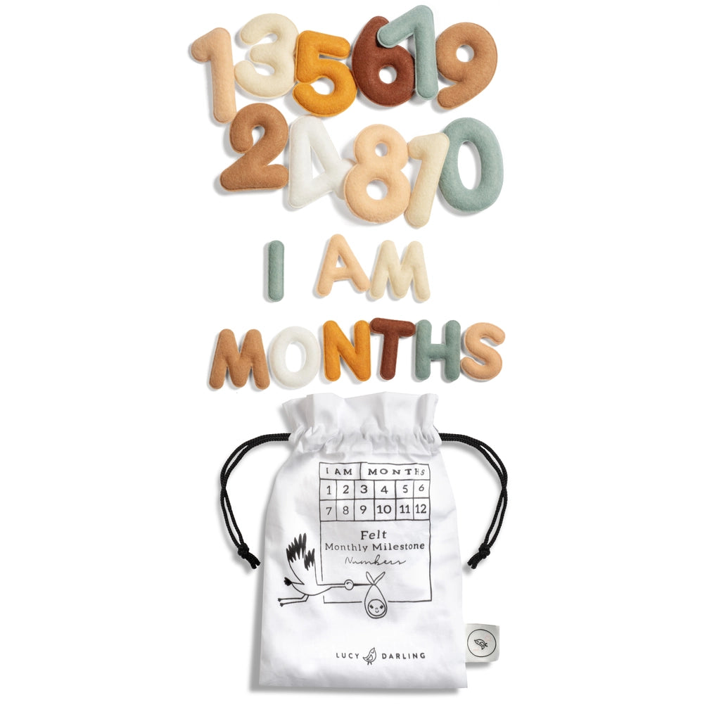 Monthly Milestone Felt Letters