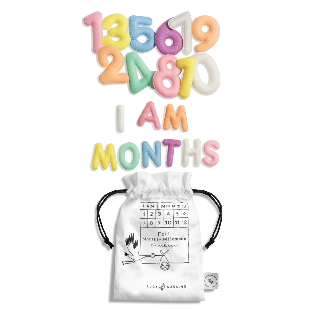 Monthly Milestone Felt Letters