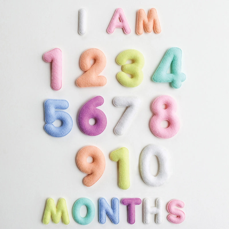 Monthly Milestone Felt Letters
