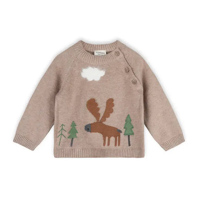 Moose Woods Knit Baby Pullover