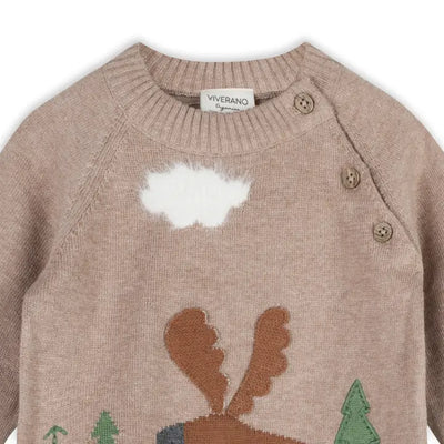 Moose Woods Knit Baby Pullover