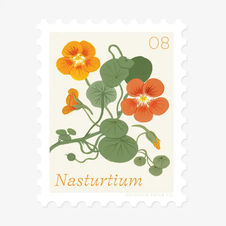 Nasturtium, August Flower | Stamp-Style Vinyl Sticker