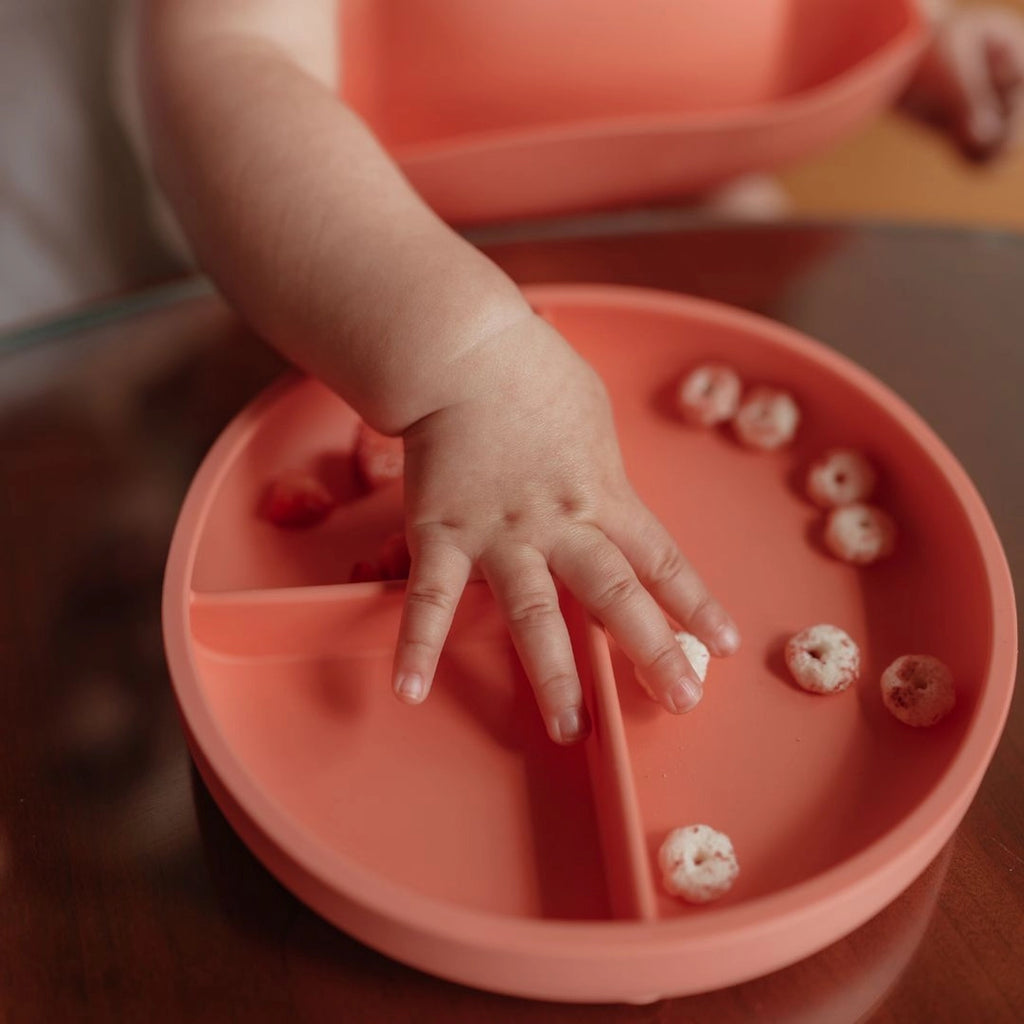 Bogo Suction Divider Plate & Spoon Set