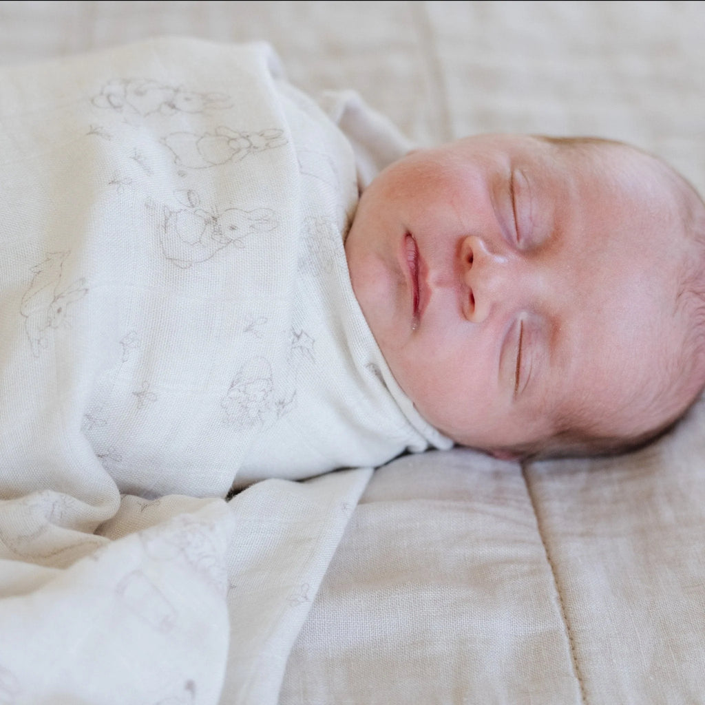 Peter Rabbit Bamboo Rayon Muslin 2-pack Swaddles