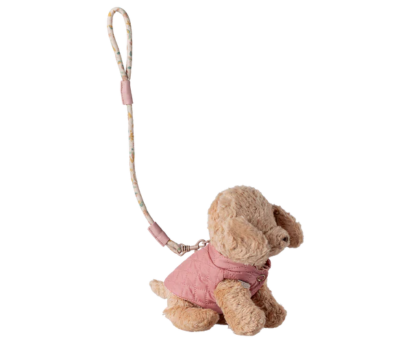 Puppy Harness & Leash, Small