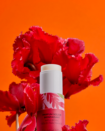 Red Ginger Wellbeing Solid Perfume 0.17 oz