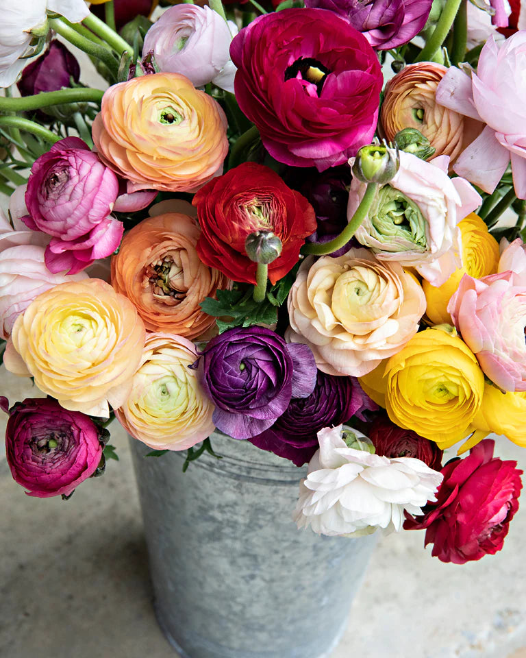 PETALS FOR ME