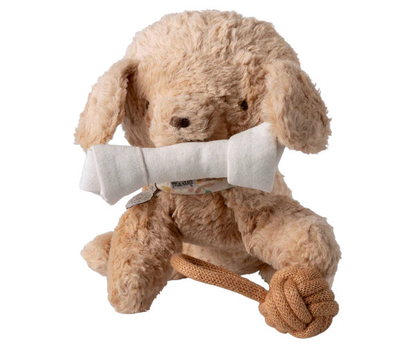 Pet Supply, Toys