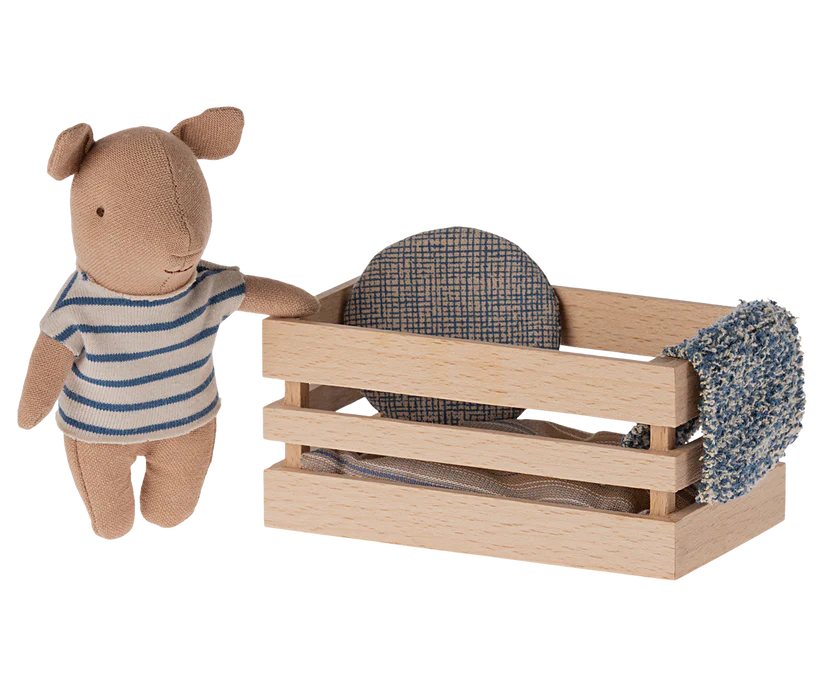 Pig, Baby in box - Boy
