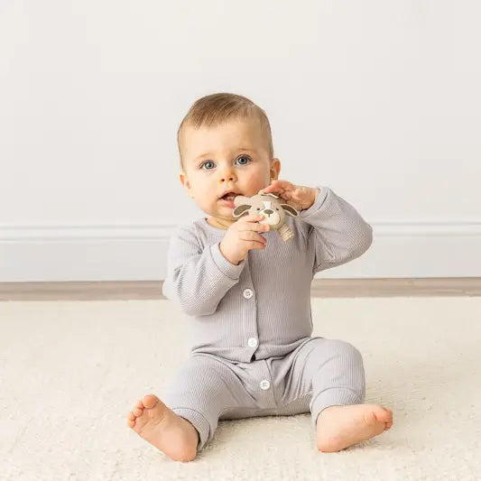 Ritzy Molar Teether - Puppy