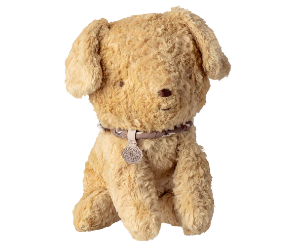 Puppy, Small