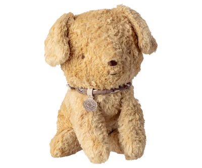 Puppy, Small