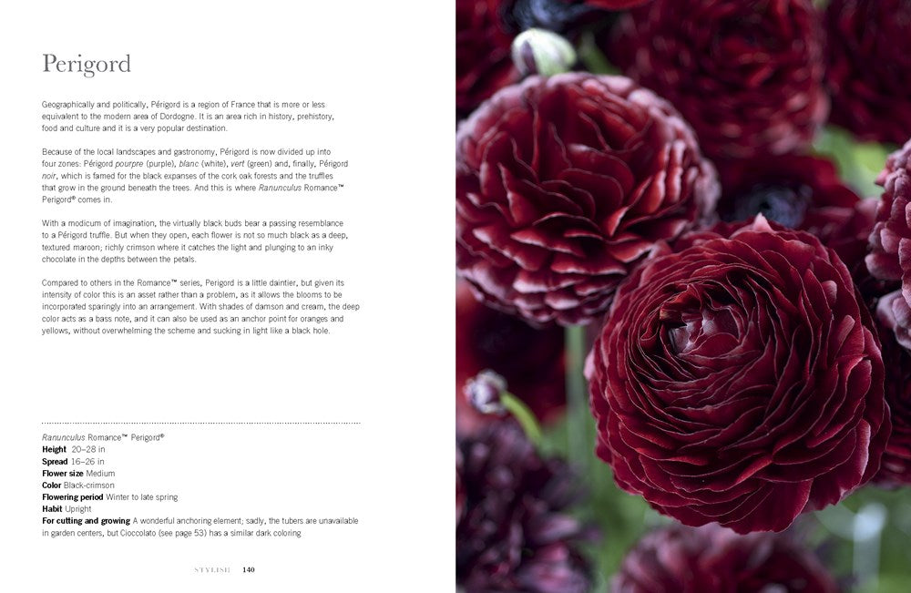 RANUNCULUS: BEAUTIFUL VARIETIES FOR HOME AND GARDEN