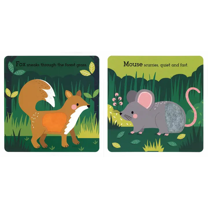 Read, Touch, Discover: Wonderful Wildlife