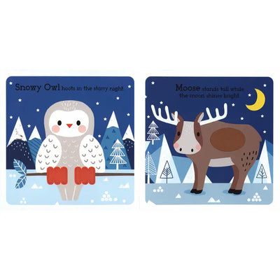 Read, Touch, Discover: Arctic Animals