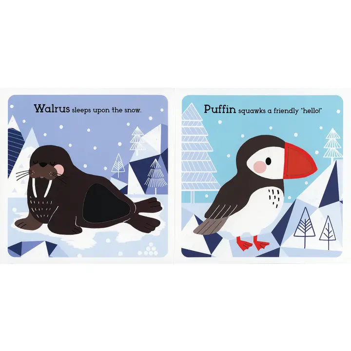 Read, Touch, Discover: Arctic Animals