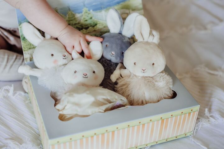 Roly Poly Bun Bun Bunny