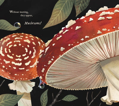 MUSHROOM RAIN, PICTURE BOOK