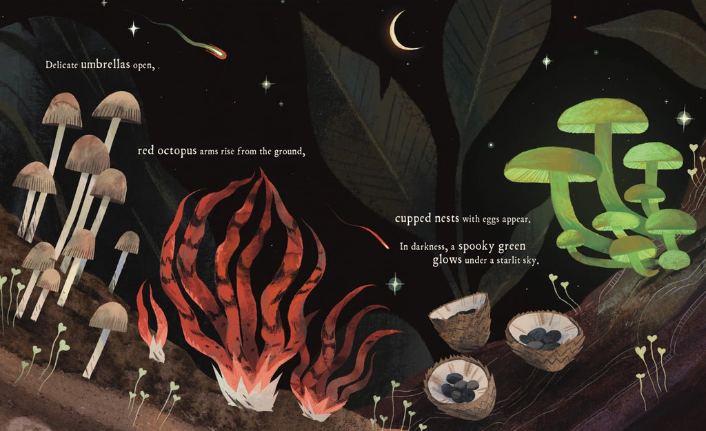 MUSHROOM RAIN, PICTURE BOOK
