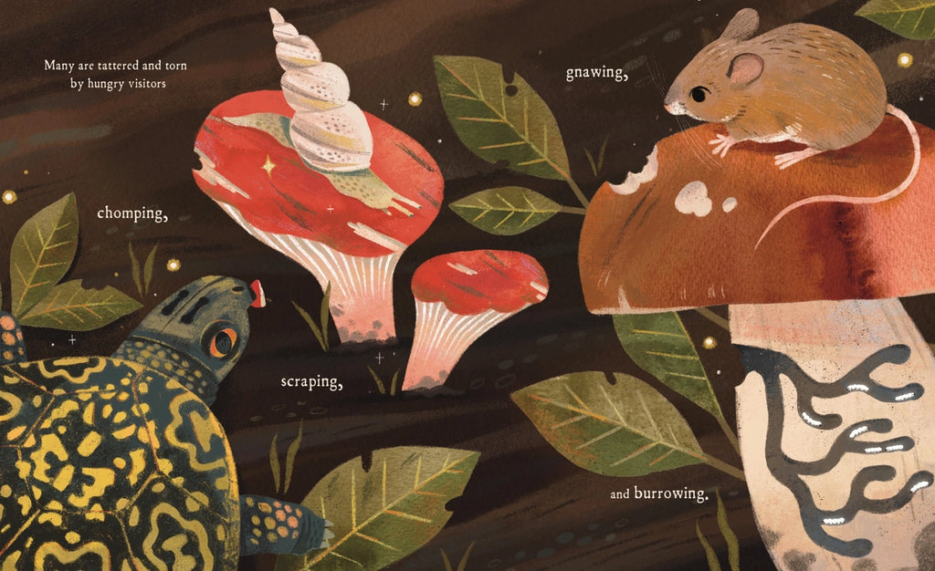 MUSHROOM RAIN, PICTURE BOOK