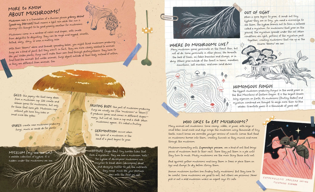 MUSHROOM RAIN, PICTURE BOOK