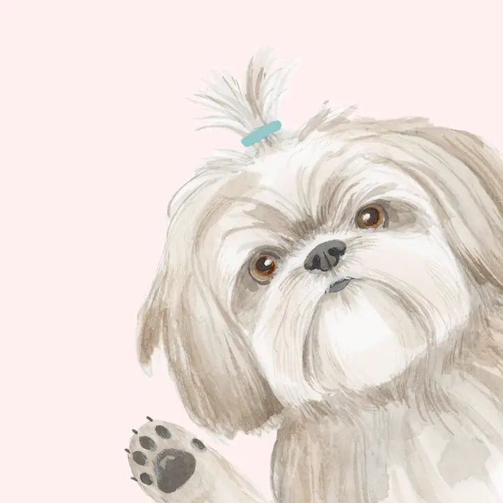 HOPE YOUR BIRTHDAY IS THE SHIHTZ
