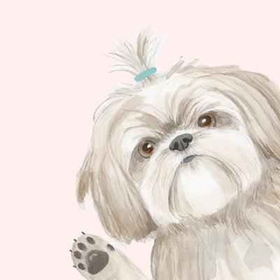 HOPE YOUR BIRTHDAY IS THE SHIHTZ
