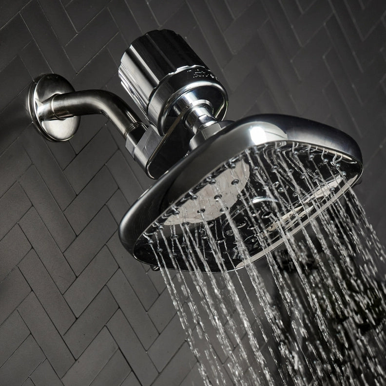 THE SHOWER FILTER - CHROME