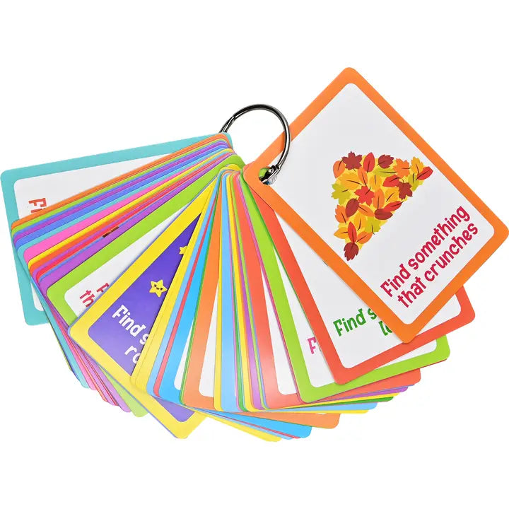 SEEK-AND-FIND SCAVENGER HUNT CARD PACK